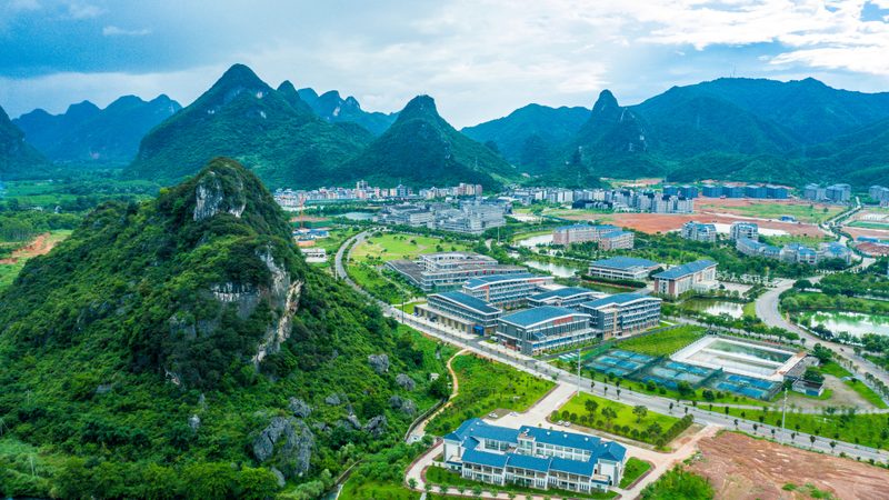 电子加工定制：如何规避潜在风险，确保项目成功？**