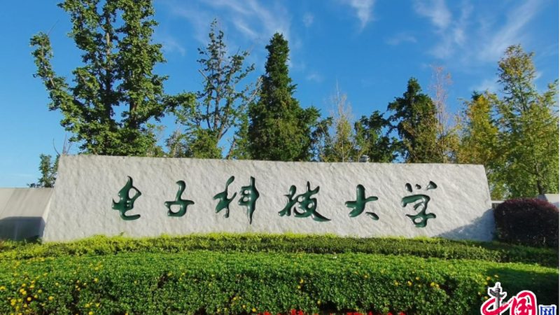 揭秘电子科技公司品牌差异：不只是参数那么简单