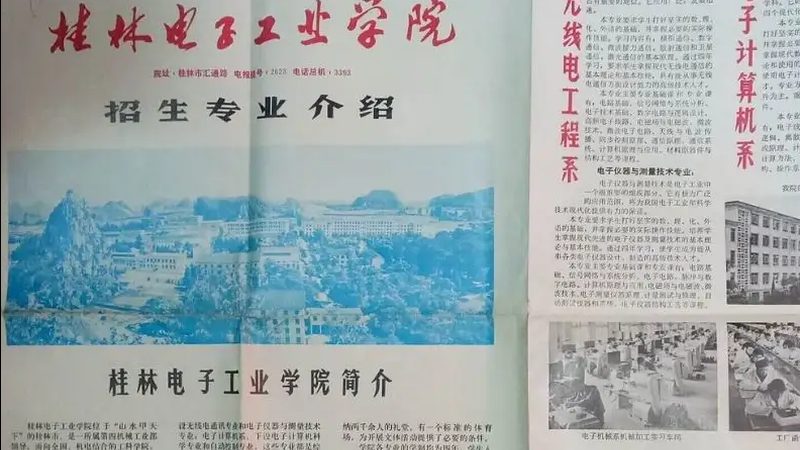 隧道二极管与变容二极管：生产工艺差异解析